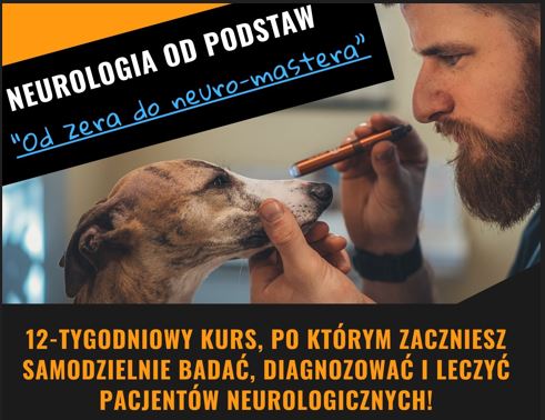 Od Zera do Neuro-Mastera